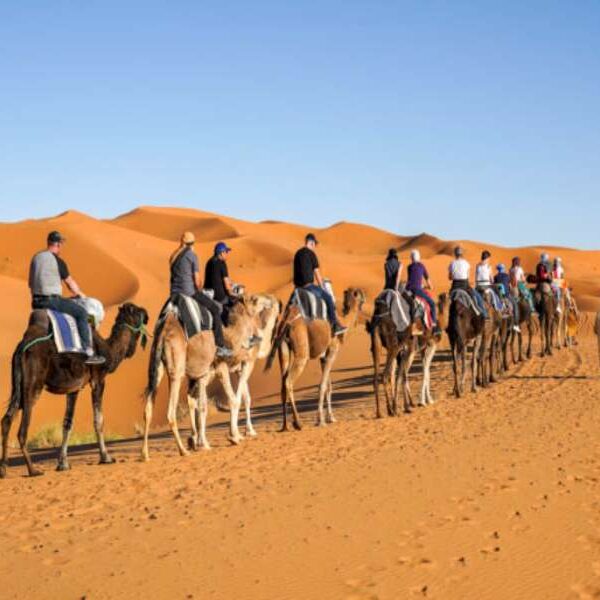 Morocco tour company