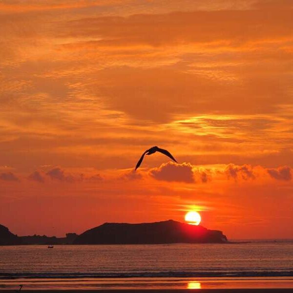 Morocco Tour Company