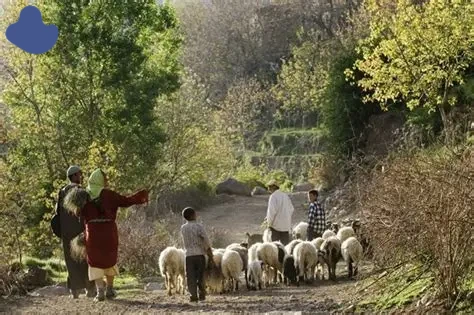 Berber family lifestyle during Morocco rural shepherding experience