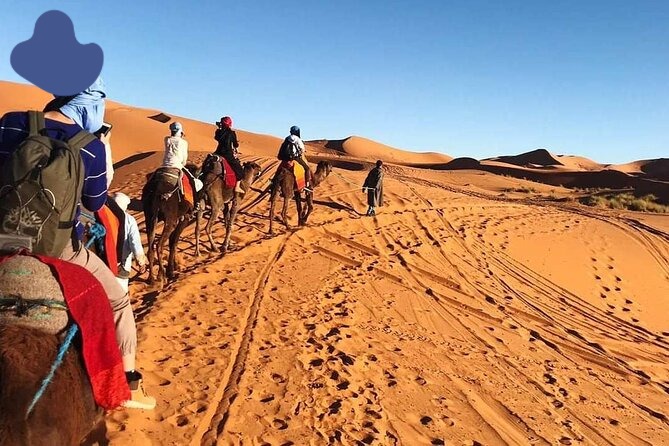 Camel trekking with nomads Morocco Sahara adventure