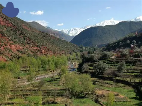 Goat herding in Morocco Eco-Tourism Shepherd Village