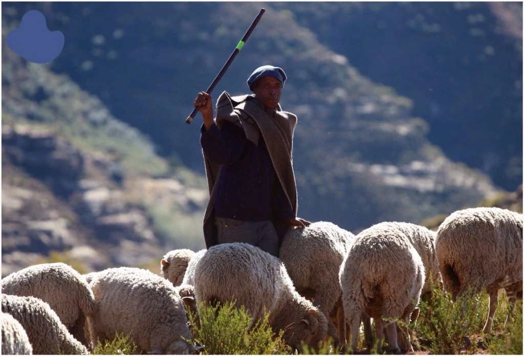 High Atlas mountain Morocco rural shepherding experience