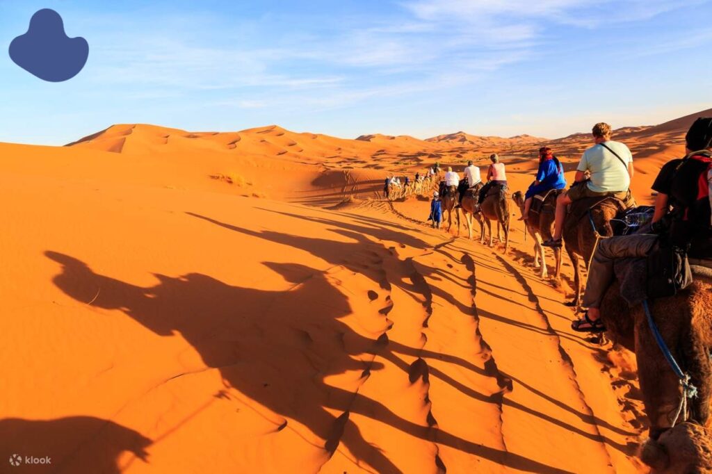 Merzouga camel trekking with Berber guide