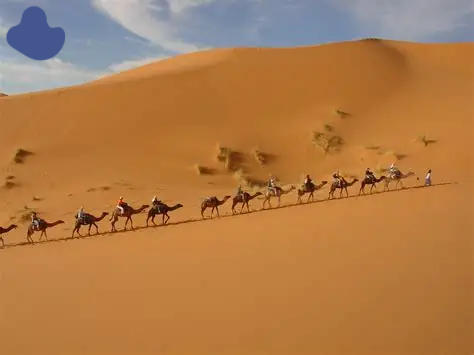 Merzouga camel trekking desert camp Morocco