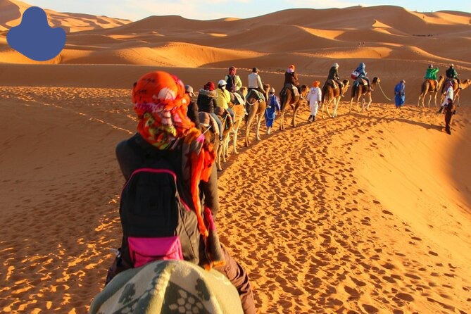 merzouga-camel-trekking-sahara-dunes Merzouga camel trekking across Sahara dunes