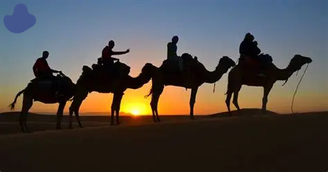 Merzouga camel trekking at sunset