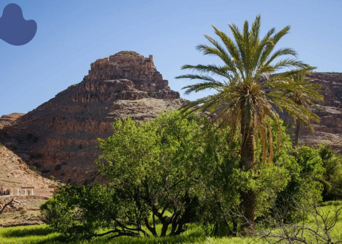 Morocco Eco-Tourism Shepherd Village with Berber shepherds and sheep