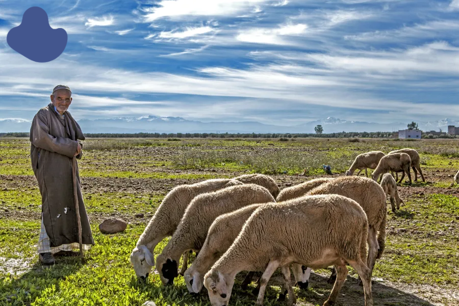High Atlas Mountains Morocco Eco-Tourism Shepherd Village