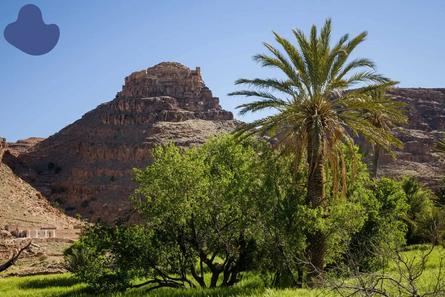 Morocco Eco-Tourism Shepherd Village with Berber shepherds and sheep