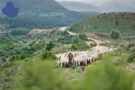 Sunset over the Moroccan countryside during rural shepherding experience
